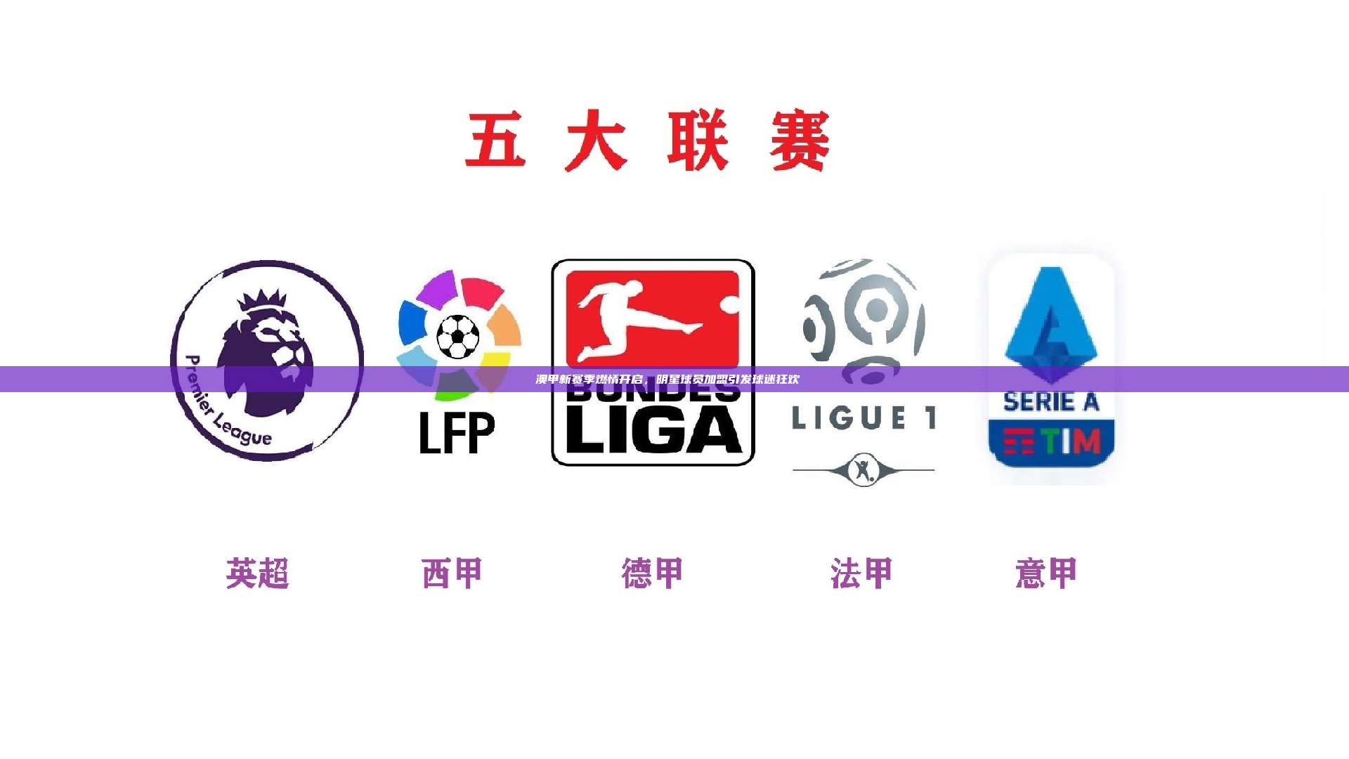 澳甲新赛季燃情开启，明星球员加盟引发球迷狂欢 ⚽✨