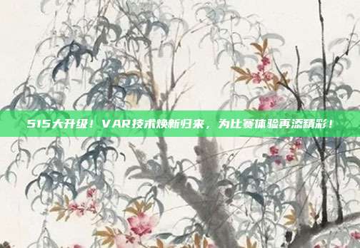 515大升级！VAR技术焕新归来，为比赛体验再添精彩！