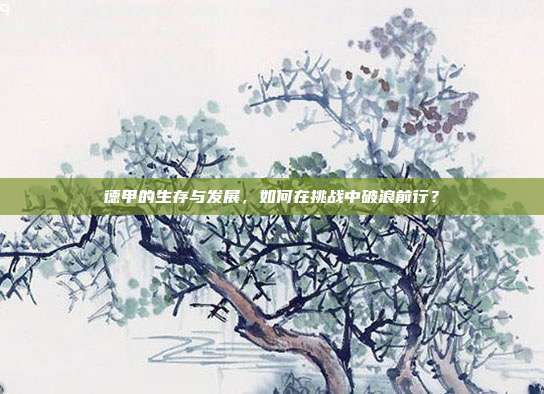 德甲的生存与发展，如何在挑战中破浪前行？