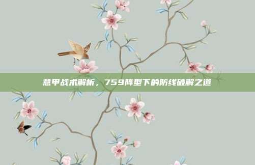 意甲战术解析，759阵型下的防线破解之道