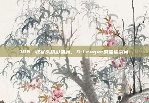 106. 收官战精彩回顾，A-League的最佳瞬间