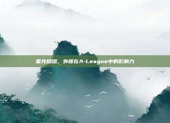 星光熠熠，外援在A-League中的影响力