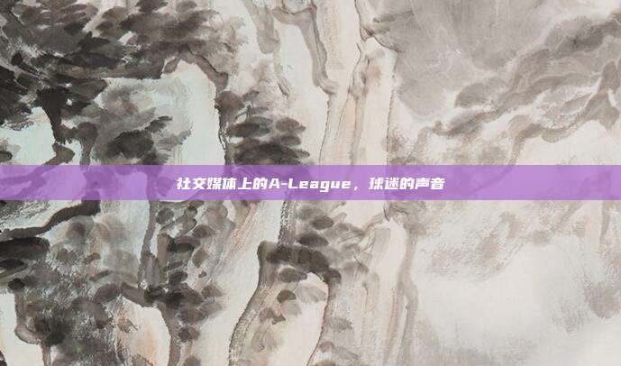 社交媒体上的A-League，球迷的声音